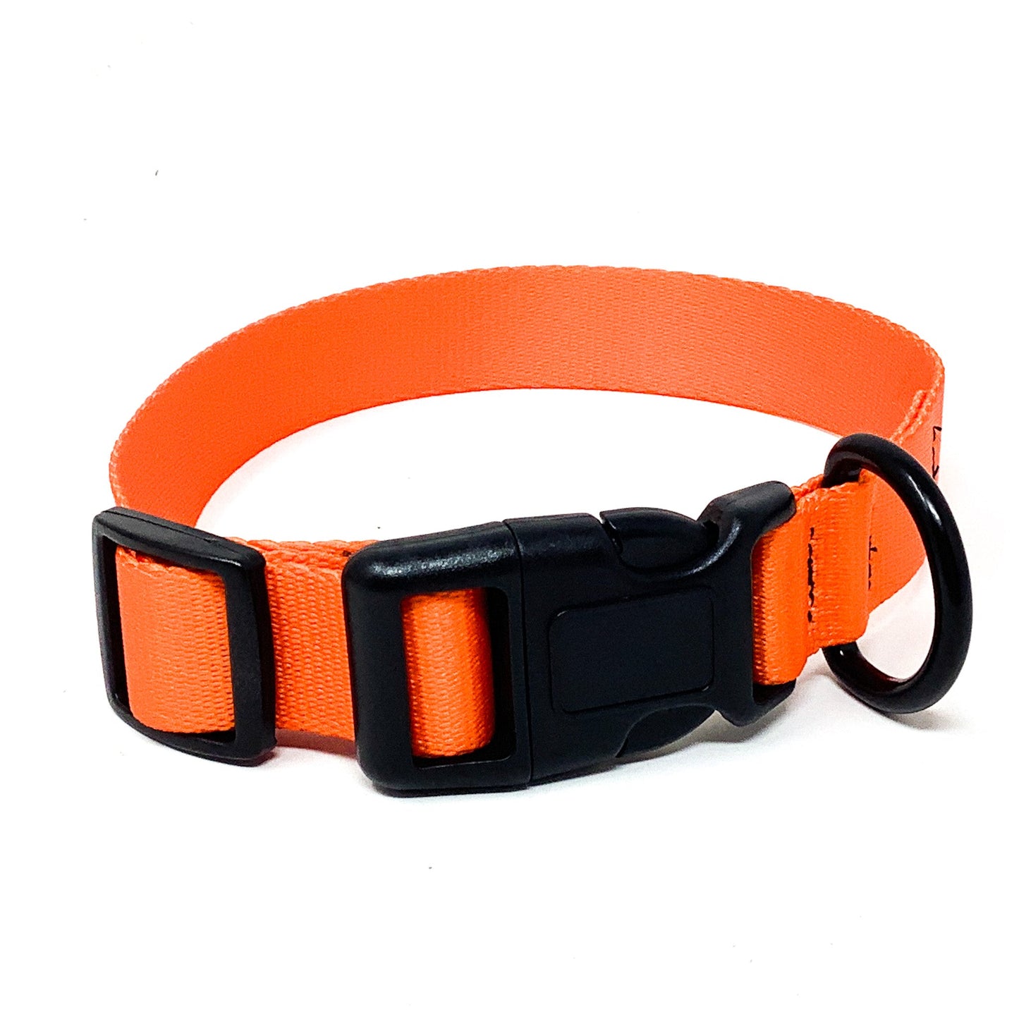 Orange 1 Inch Dog Collar