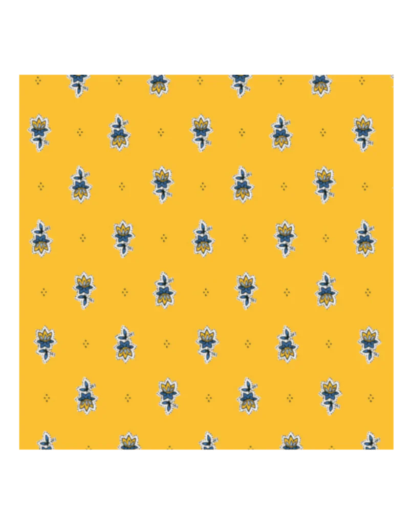 Avignon Yellow Apron