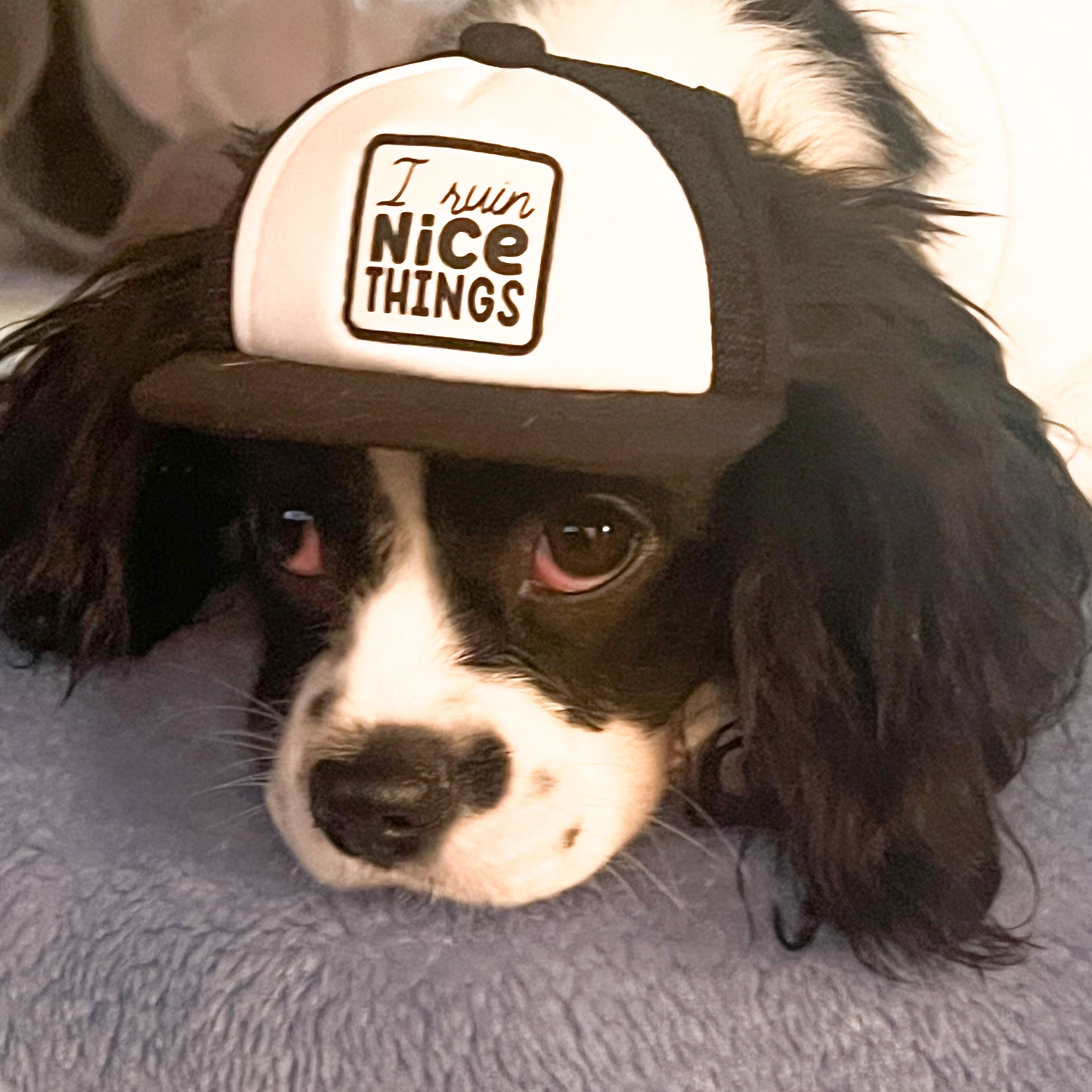 MAHA PUP Black & White Foam Trucker