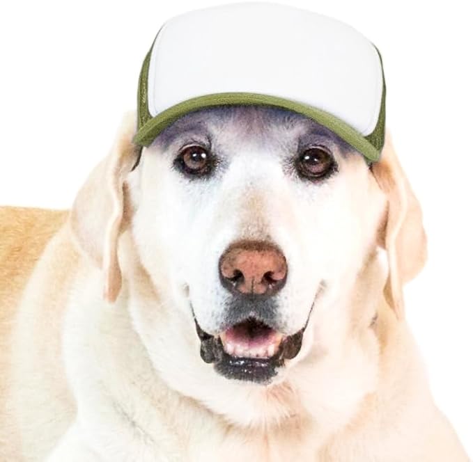PupLid Green & White Foam Trucker