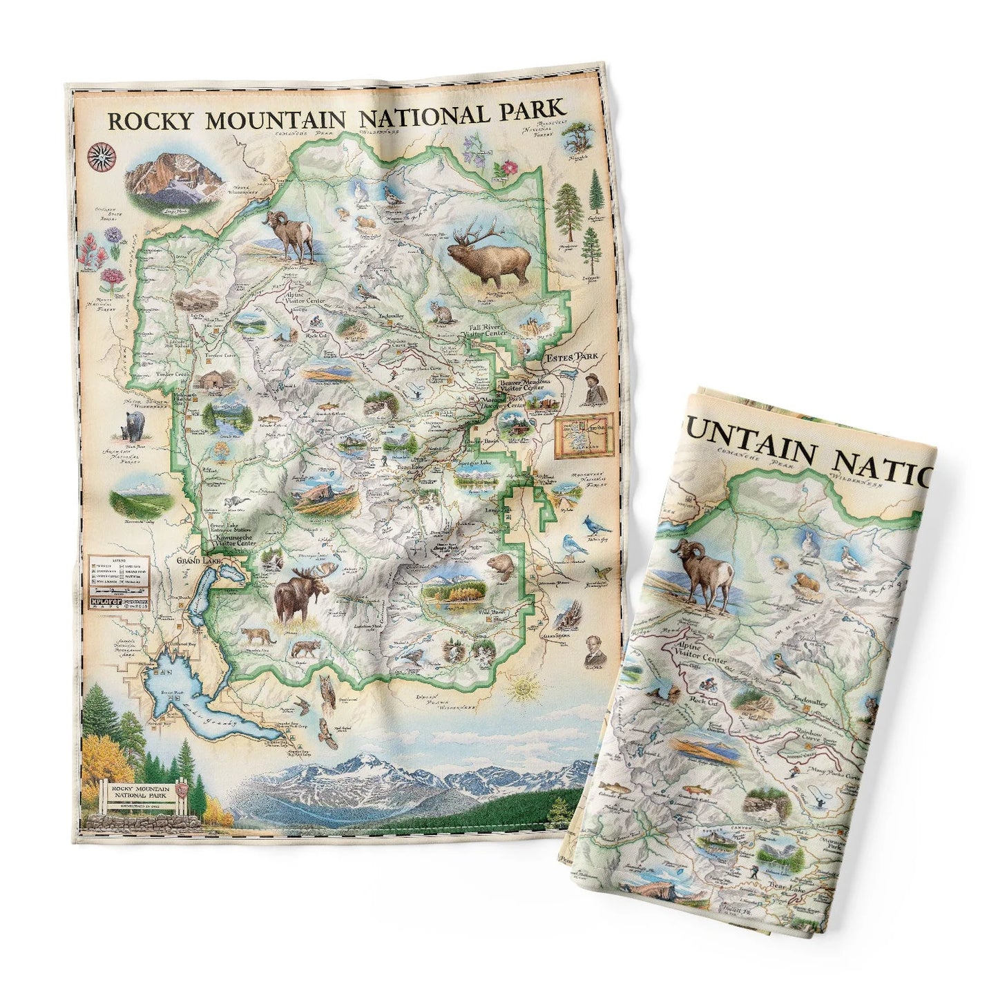 Rocky Mountain National Park Tea Towel