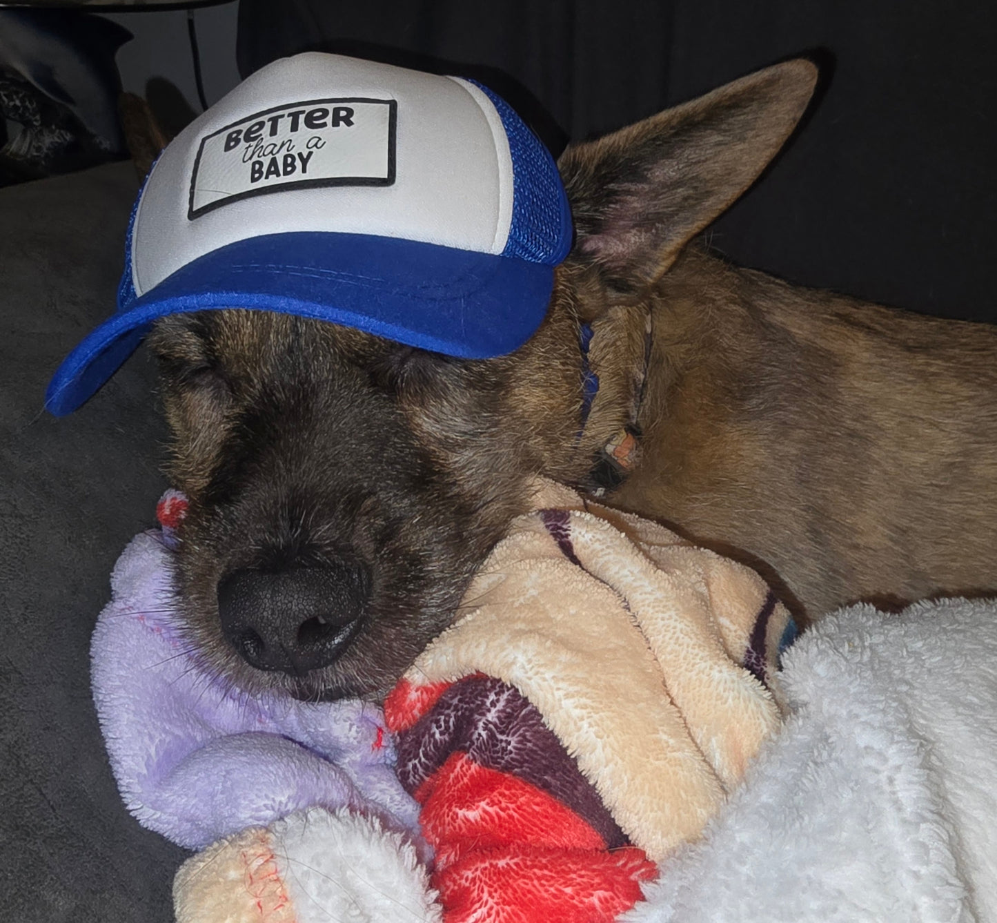 MAHA PUP Blue & White Foam Trucker