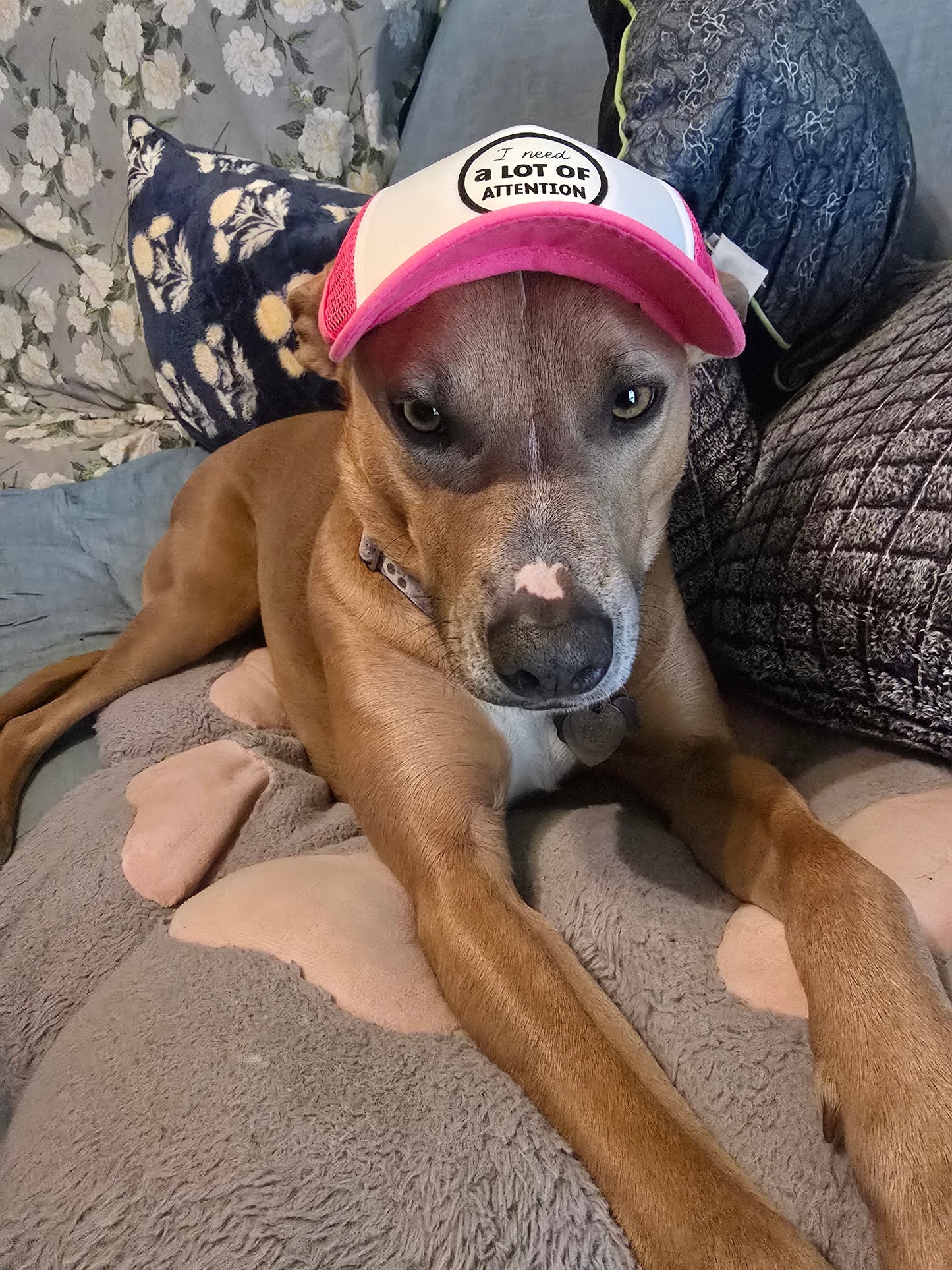 MAHA PUP Pink & White Foam Trucker