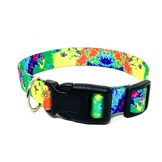 Psychadelia 1 Inch Dog Collar