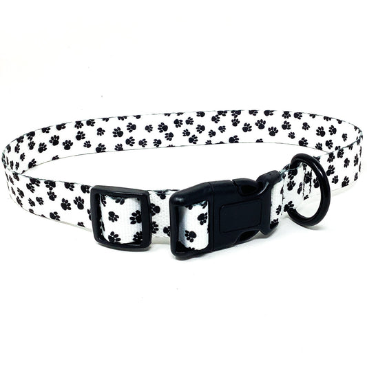 Paws 1 Inch Dog Collar